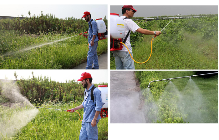 Knapsack Power Sprayer 20L